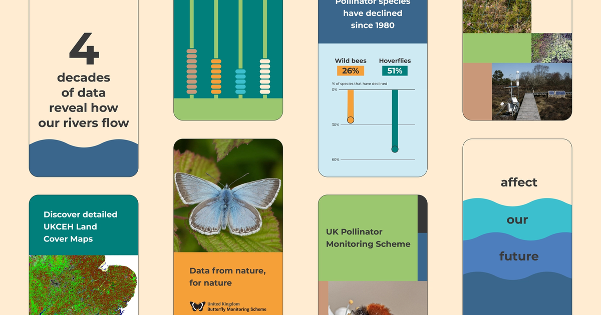 Data from nature, for nature - Beyond Words Studio