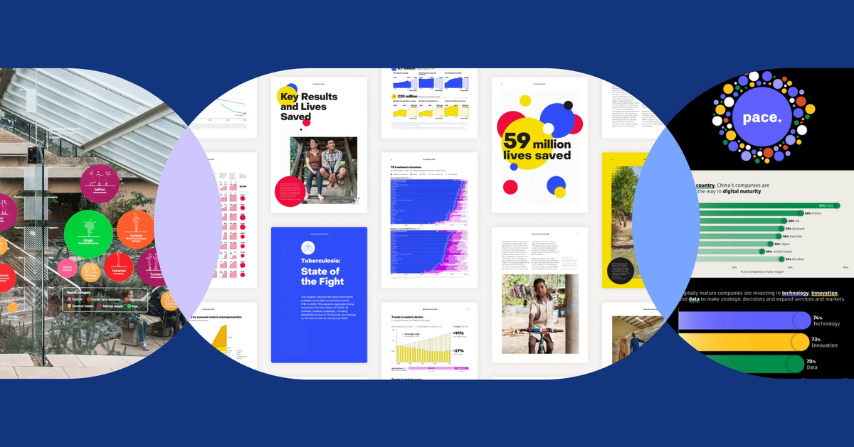 Data Visualization - Beyond Words Studio